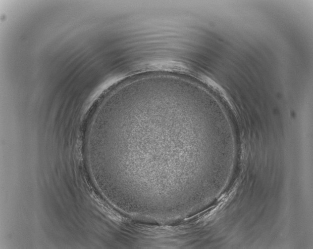 X0000065261019200602211244