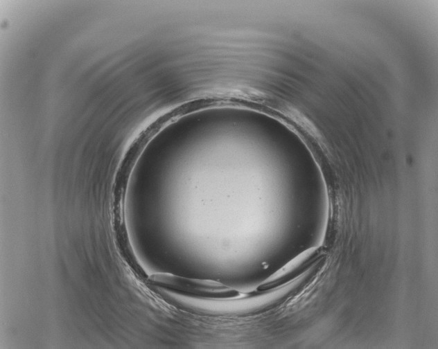 X0000065261020200602211244