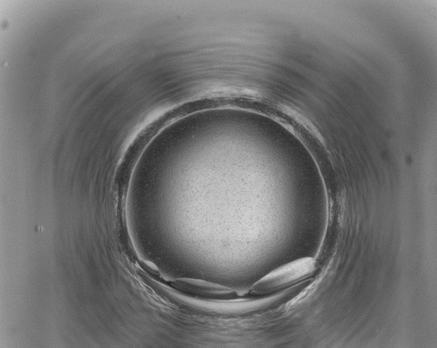 X0000065261021200602211244