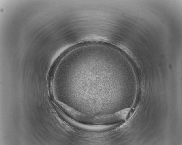 X0000065261022200602211244