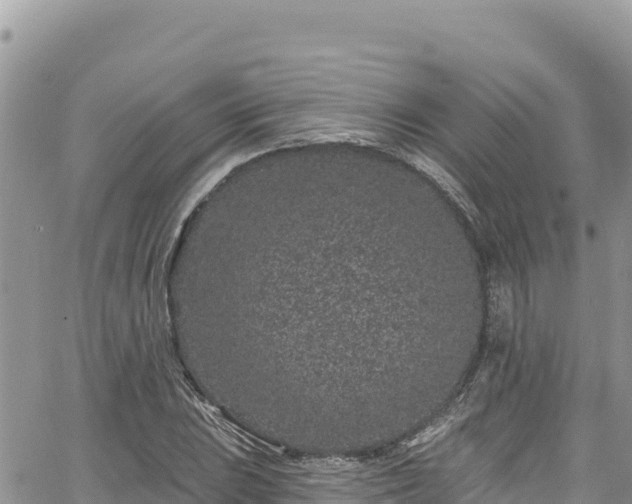 X0000065261023200602211244