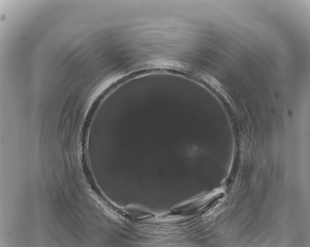 X0000065261024200602211244