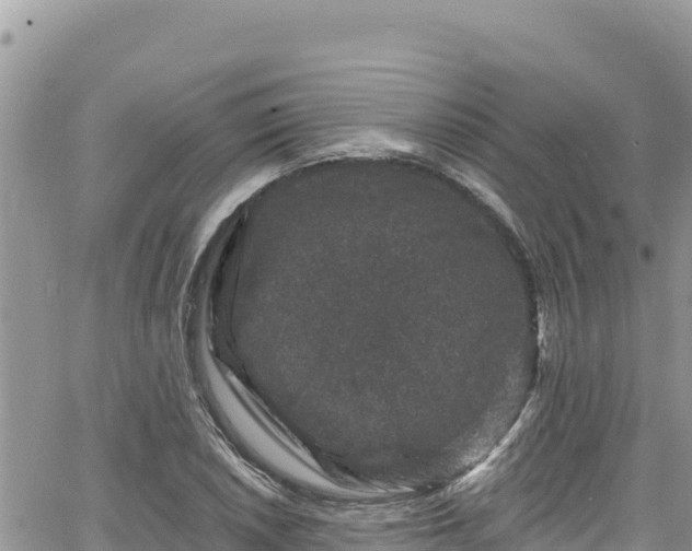 X0000065261026200602211244