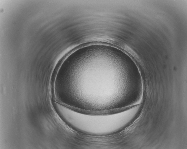 X0000065261028200602211244