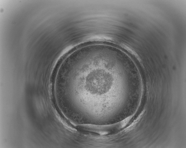 X0000065261029200602211244