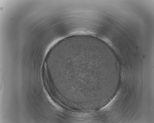 X0000065261030200602211245