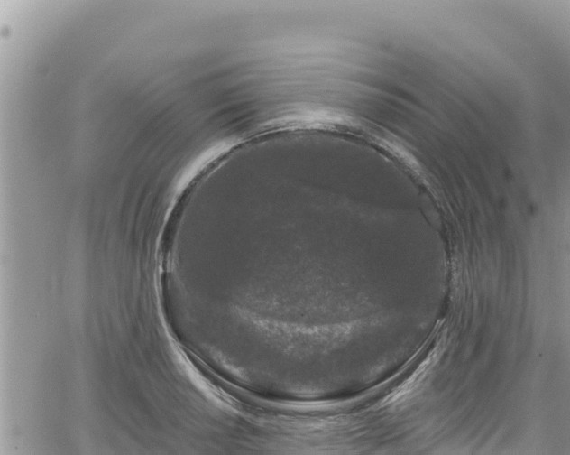 X0000065261034200602211245