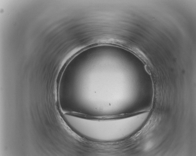 X0000065261036200602211245