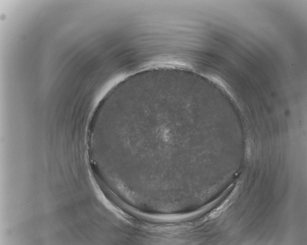 X0000065261038200602211245