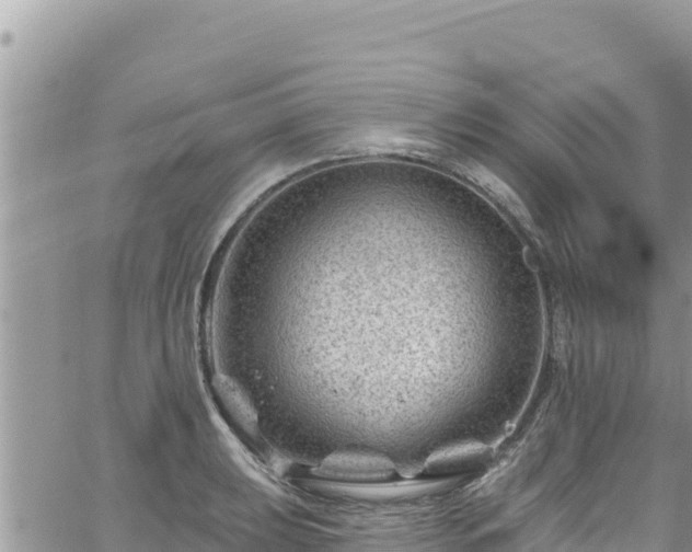 X0000065261039200602211245