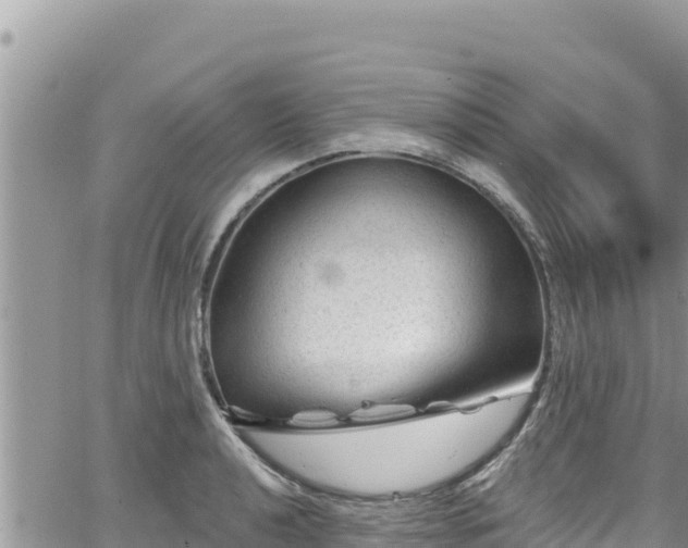 X0000065261040200602211245