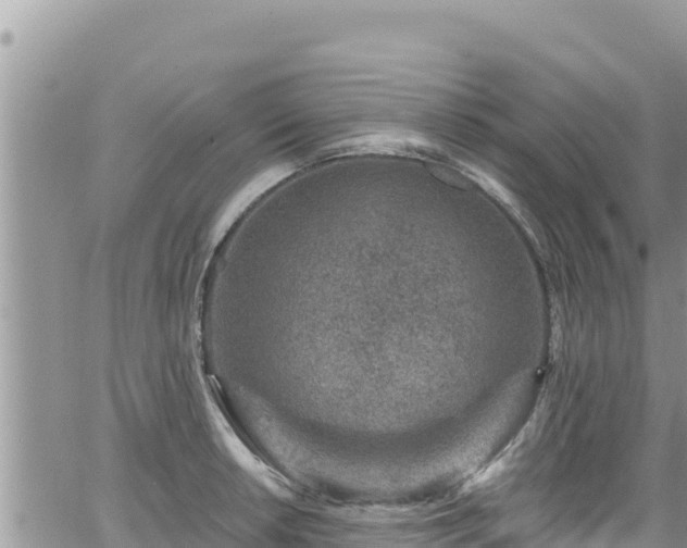 X0000065261042200602211245