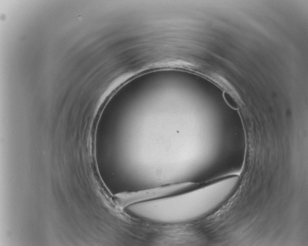 X0000065261044200602211245