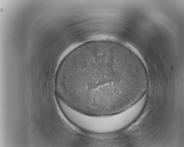 X0000065261045200602211245