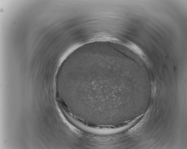 X0000065261046200602211245