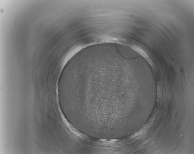 X0000065261047200602211245