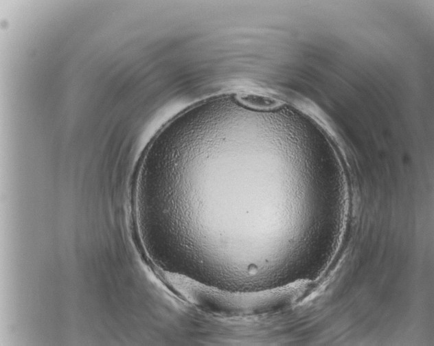 X0000065261048200602211245