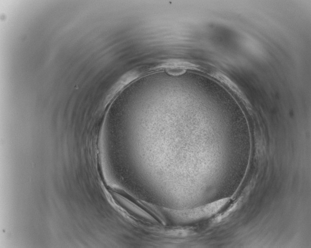 X0000065261049200602211245