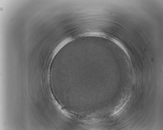 X0000065261050200602211245