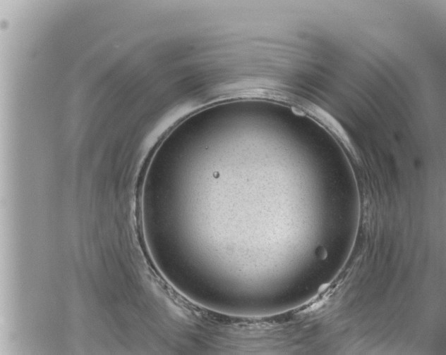 X0000065261051200602211245