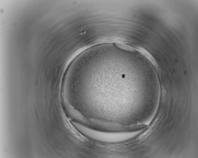 X0000065261052200602211245