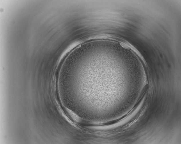 X0000065261053200602211245