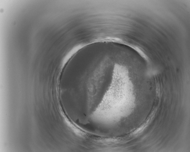 X0000065261054200602211245