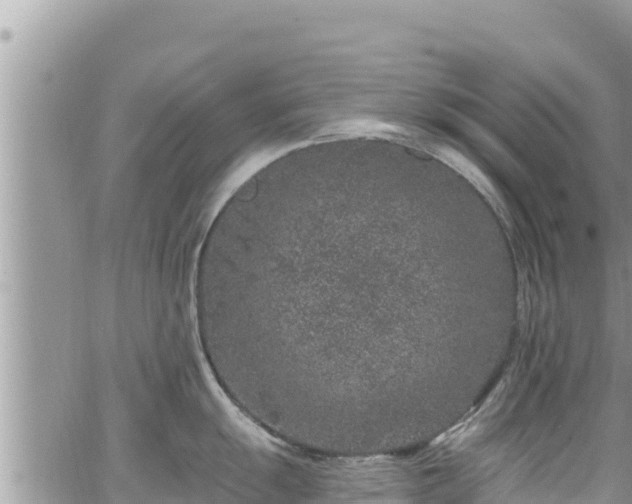 X0000065261055200602211245