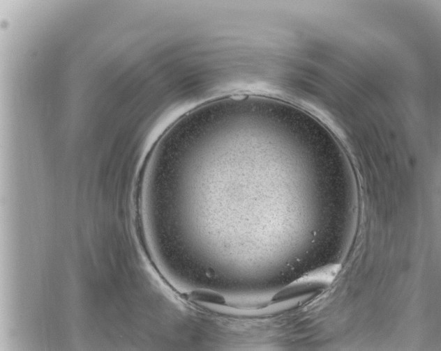 X0000065261056200602211245