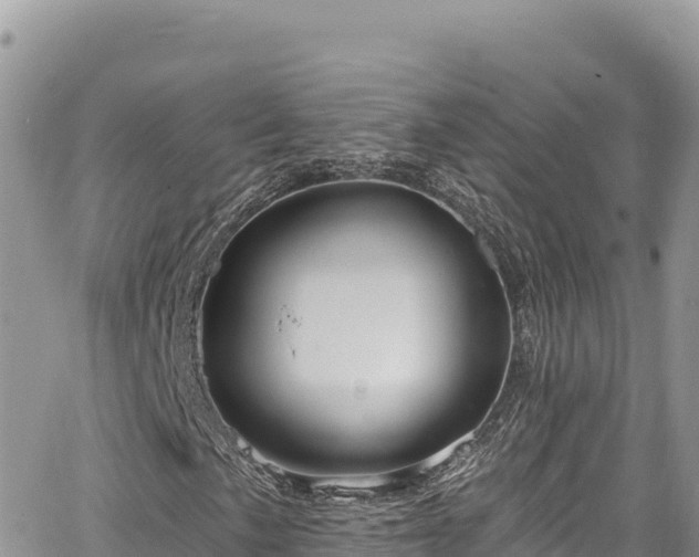 X0000065261057200602211244