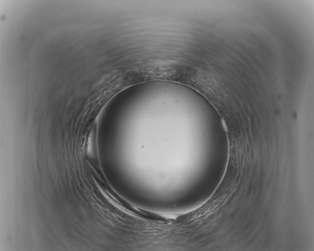 X0000065261058200602211244