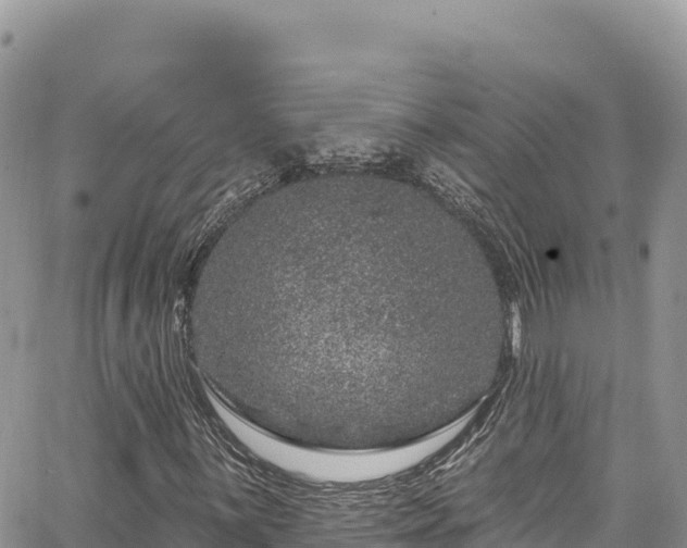 X0000065261059200602211244