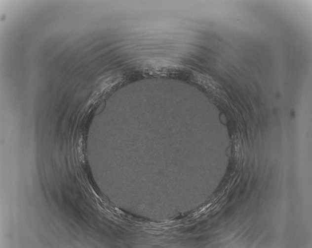 X0000065261060200602211244