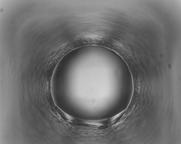 X0000065261061200602211244