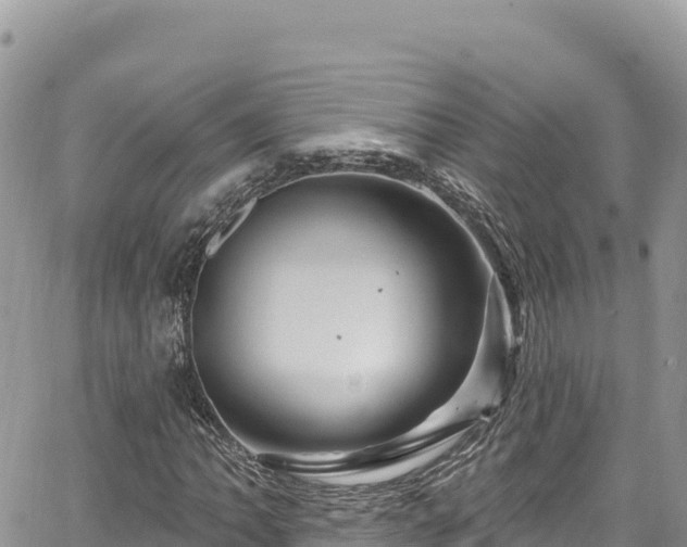 X0000065261062200602211244