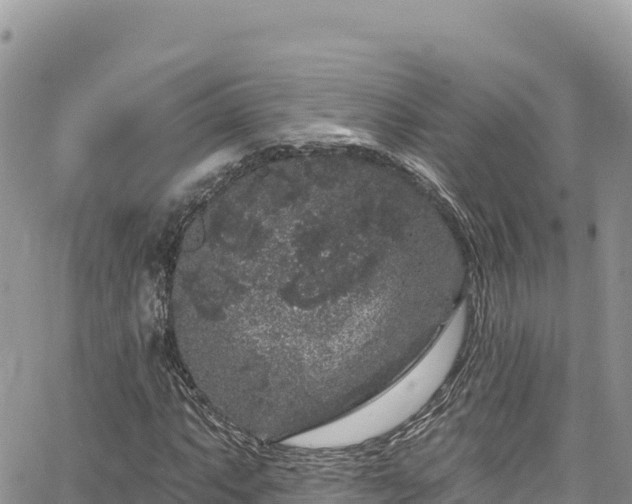 X0000065261063200602211244