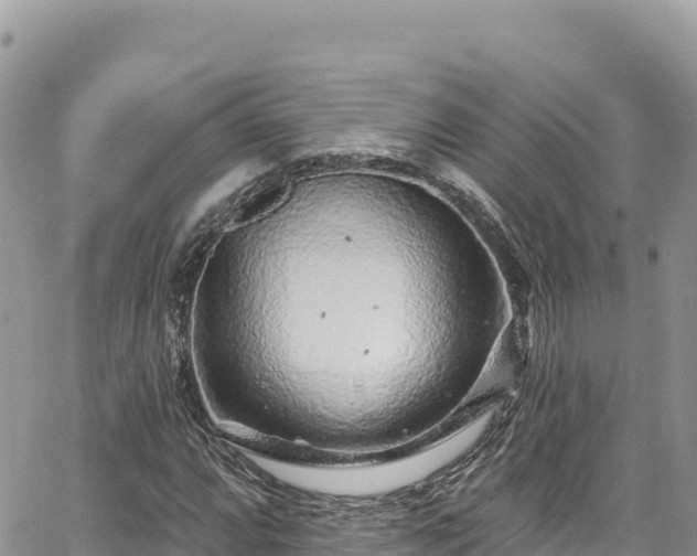 X0000065261064200602211244