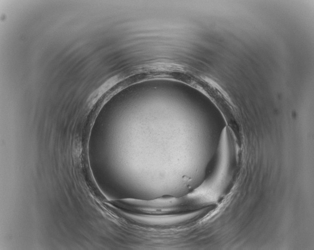 X0000065261065200602211244