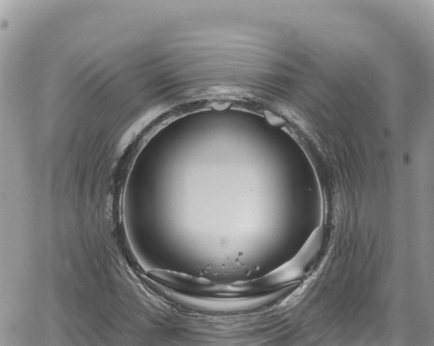 X0000065261066200602211244