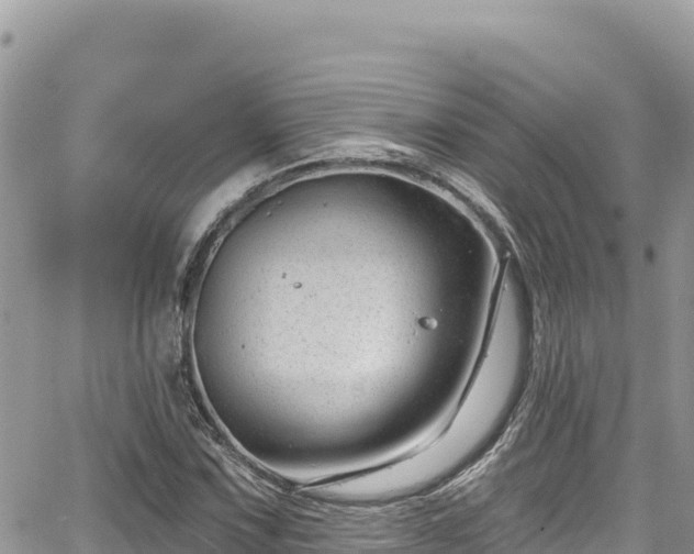 X0000065261067200602211244