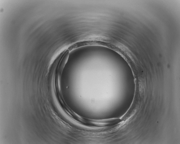 X0000065261069200602211244