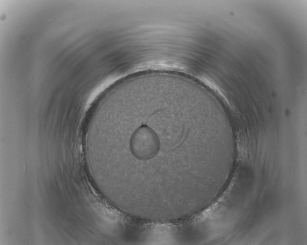 X0000065261070200602211244