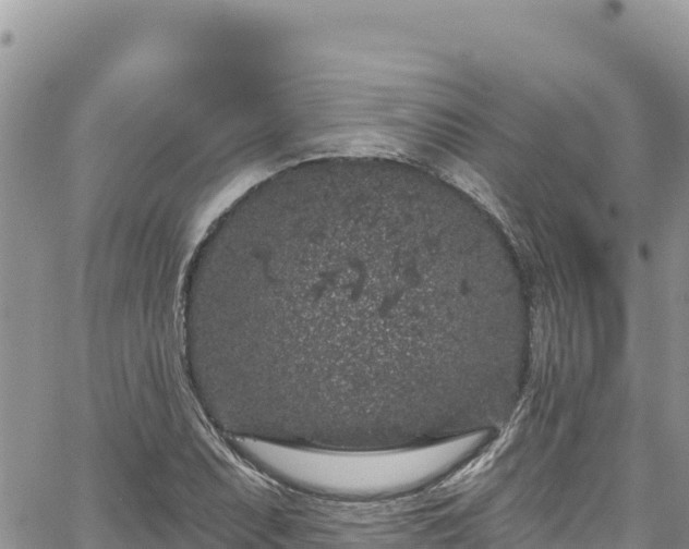 X0000065261071200602211244