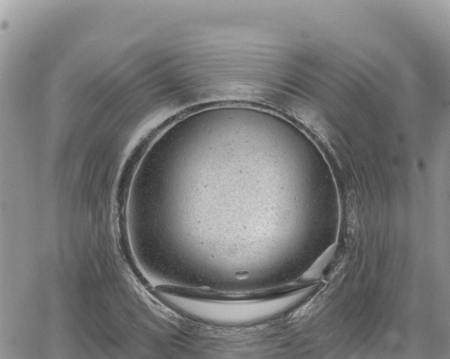 X0000065261072200602211244