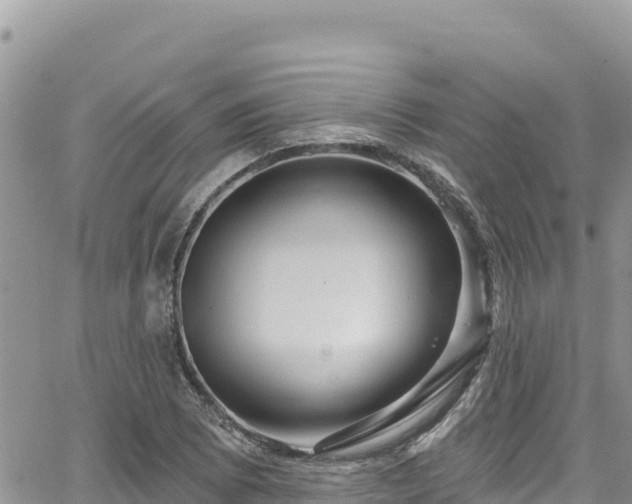 X0000065261073200602211244