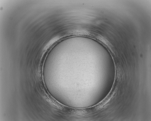 X0000065261074200602211244