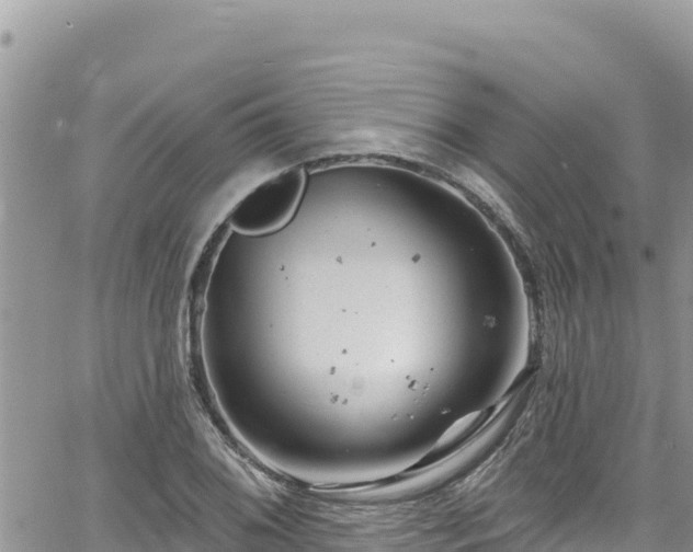 X0000065261076200602211244