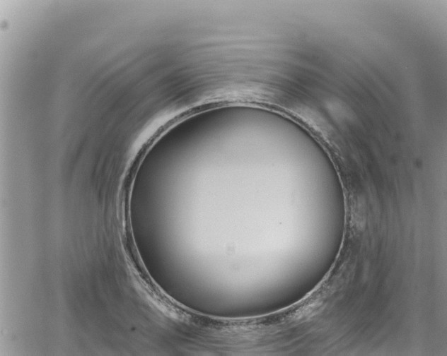 X0000065261078200602211244