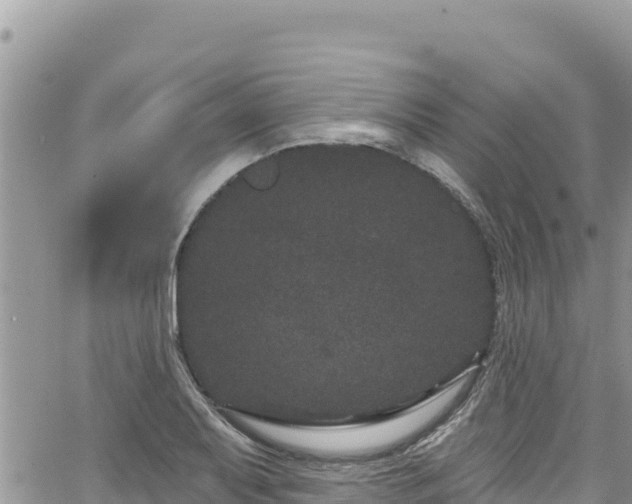 X0000065261079200602211244