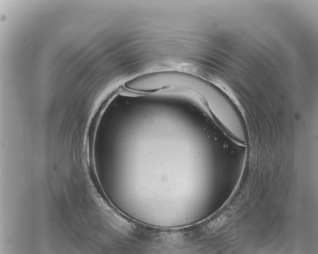 X0000065261080200602211244